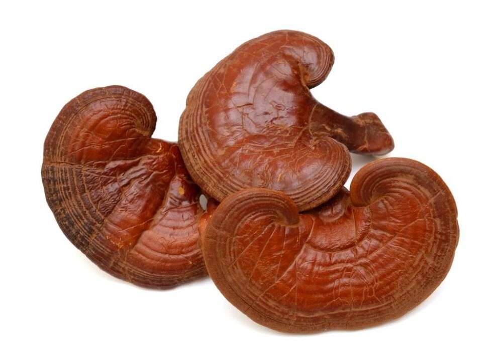 Hongos reishi en cápsulas de Prostamin